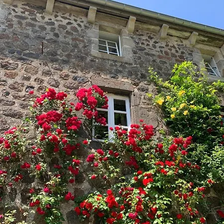 乐布达拉住宿加早餐旅馆